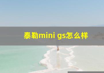 泰勒mini gs怎么样